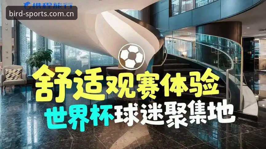 世界杯观赛体验全面评测：中东战火下的签证困局与小鸟体育平台观赛方案v2.2.1深度解析