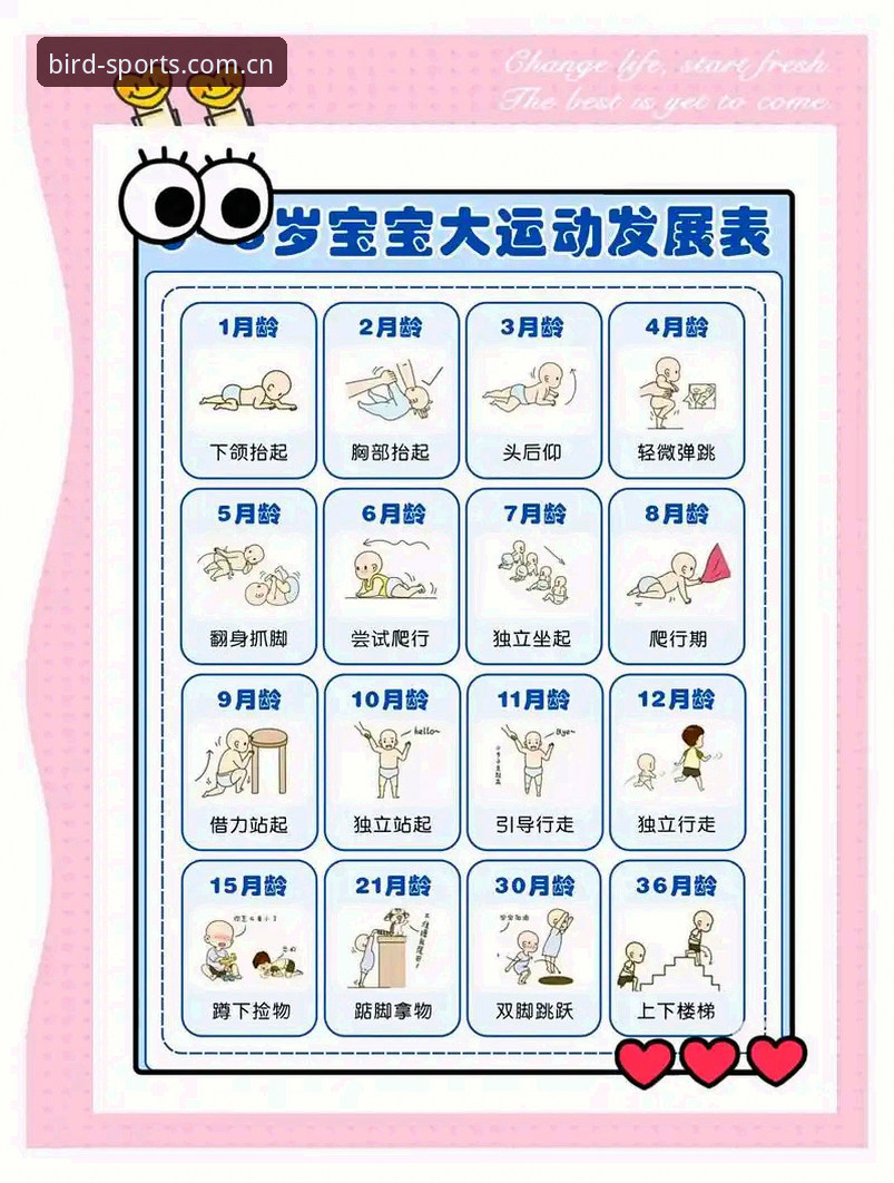 小鸟体育平台运动生活指南：从入门到精通的完整教程